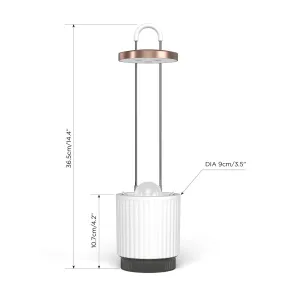 Click & Grow hydroVase, selbstbewässernde Vase mit Pflanzenlicht, dargestellt mit Größenangaben auf weißem Hintergrund