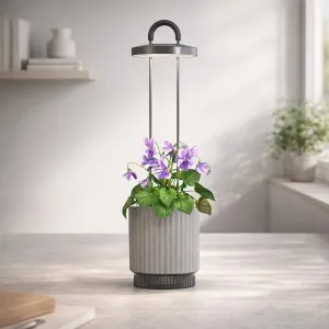 Click & Grow hydroVase selbstbewässernde Vase mit LED-Licht, grauer Pflanzbehälter mit violetten Blumen