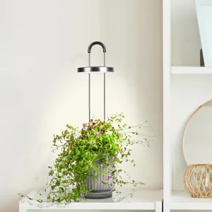 Click & Grow hydroVase, selbstbewässernde Vase mit LED-Beleuchtung, abgebildet mit hängenden Blumen und Pflanzenlicht