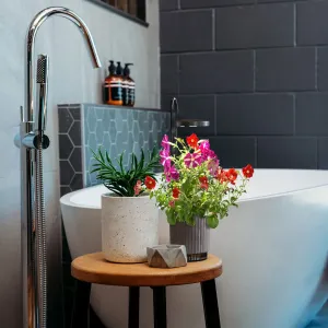Click & Grow hydroVase-Styling mit zwei Zimmerpflanzen im Topf und einer kleinen LED-Pflanzenleuchte in einem Badezimmer.