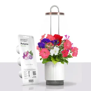 Click & Grow HydroVase självvattnande vas med växtbelysning, med blommande petunior och påfyllningsförpackning
