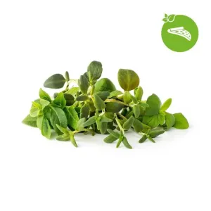 Click & Grow påfyllning med italienska örter, färska gröna örtkvistar och logotyp på vit bakgrund