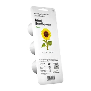 Click & Grow Mini Sunflower plantkapslar, 3-pack-förpackning för Smart Garden, med solrosmotiv
