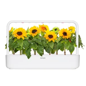Click & Grow smart planteringskruka med blommande mini-solrosor och grönt bladverk