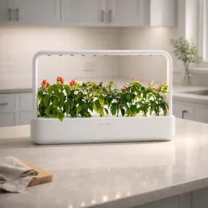 Click & Grow Smart Garden 9 inomhusträdgård för bänkskiva med växande örter och färgglada paprikor i en vit ram