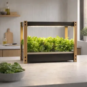 Click & Grow 25 odlingssystem för inomhusbruk på köksbänk med appstyrd belysning och bladgrönsaker