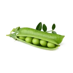 recambio para jardín inteligente Dwarf Pea de Click & Grow con una vaina de guisantes verde abierta que deja ver los guisantes sobre fondo blanco