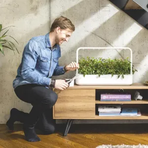 Click & Grow Smart Garden 9 Pro örtträdgård för inomhusbruk med frodiga gröna växter som beskärs hemma