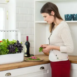 Click & Grow Smart Garden 9 Pro inomhusörtagård på en köksbänk, med växter och skördade blad