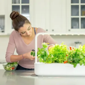 Click & Grow Smart Garden 9 Pro örtträdgård för inomhusbruk med växter som skördas i ett ljust kök