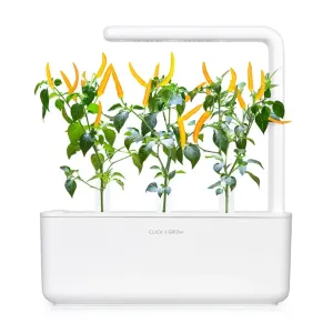 Click & Grow Smart Garden con tres plantas de chile y pimientos naranjas creciendo bajo una estructura luminosa
