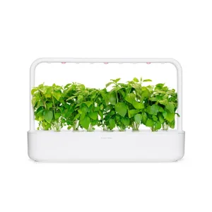 Click & Grow smart garden with basil plants in a white countertop growing unit
