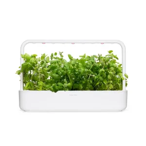 Click & Grow Smart Garden, jossa kasvaa reheviä vihreitä omenaminttuyrttejä valkoisessa pöytätason ruukussa