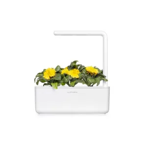 Jardín inteligente Click & Grow con flores de caléndula en flor y follaje verde en una maceta blanca de encimera