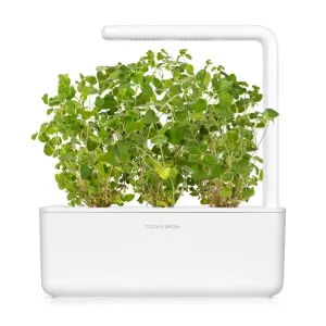 Recharge d’origan Click & Grow Smart Garden avec trois plants d’origan denses dans une jardinière d’intérieur blanche