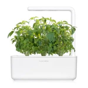 Jardín inteligente Click & Grow con tres plantas de albahaca tailandesa creciendo en una jardinera blanca de interior para hierbas.