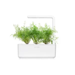 Click & Grow Smart Garden cultivando eneldo en un jardín de hierbas de interior blanco con tres plantas frondosas