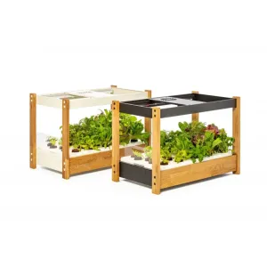 Click & Grow 25 odlingssystem för inomhusbruk med appstyrd belysning, visat i ljus och svart finish med bladgrönsaker