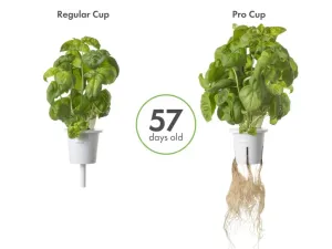 Comparativa de Click & Grow Pro Plant Cups que muestra albahaca con raíces más grandes junto a un vaso estándar