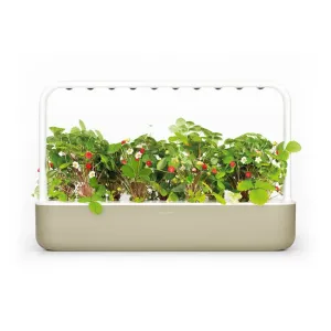 Jardinière de comptoir Click & Grow Smart Garden 9 avec plantes feuillues, fleurs blanches et baies rouges