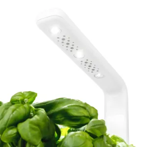 Click & Grow Smart Garden 3 jardin d’intérieur pour herbes aromatiques avec lampe de culture LED blanche au-dessus des feuilles de basilic