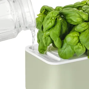 Jardin d’intérieur Click & Grow Smart Garden 3 avec plants de basilic arrosés dans un appareil compact gris foncé