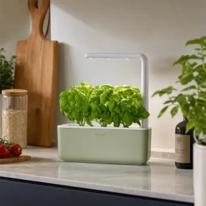 Click & Grow Smart Garden 3 jardinière d'intérieur pour herbes aromatiques avec lampe de croissance LED intégrée et plants de basilic
