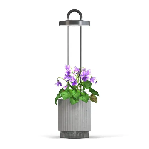 HydroVase grå kruka med vertikala räfflor och rund toppmonterad LED-lampa på två stänger, med lila blommor och gröna blad.