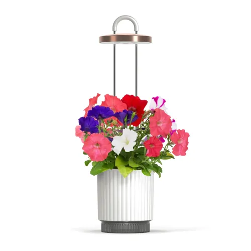 HydroVase vit bordskruka med räfflad cylinderform och integrerad rund LED-lampa på två stänger ovanför färgglada blommor.