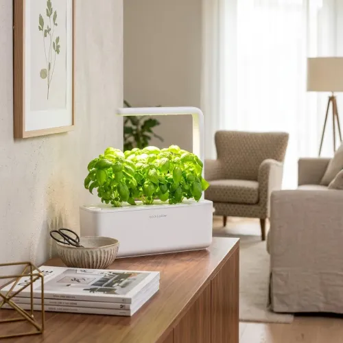 Click & Grow Smart Garden 3 siseruumides kasutatav nutikas aed LED-kasvutule ja lehttaimedega valges istutusnõus