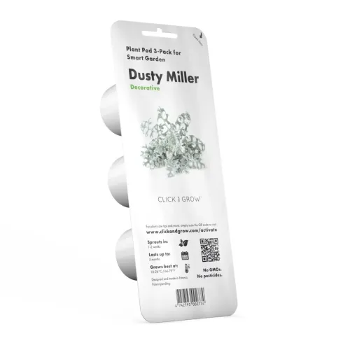 Click & Grow Dusty Miller Plant Pod 3er-Pack im Blister, weiße Hängekarte mit Pflanzenbild und Logo; drei Pods von der linken Seite sichtbar.