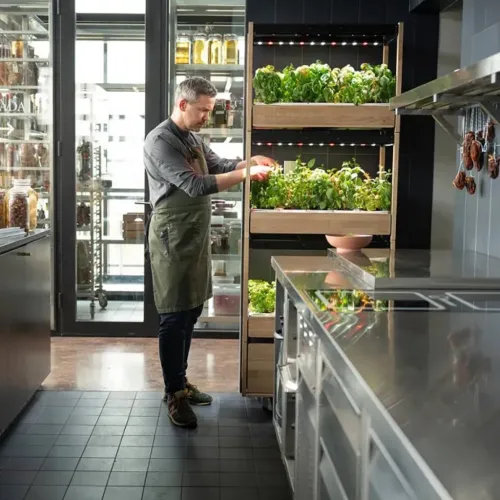 Click and Grow 25 med sort ramme og træhylder i tre niveauer med LED-plantelys; placeres i køkkenet, mens en person tager sig af planterne.