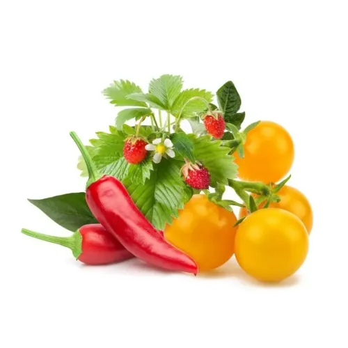 Smart Garden Refill 9er-Pack Obst- und Gemüsemix: rote Chilis, gelbe Tomaten an Zweigen und Erdbeerblätter mit roten Beeren.