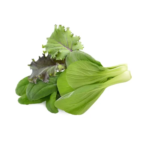 Asiatischer Küchenmix mit Pak Choi, rot-violetten Kohlblättern und schmalen grünen Blättern, locker und überlappend auf weißem Hintergrund, freigestellte Aufnahme.