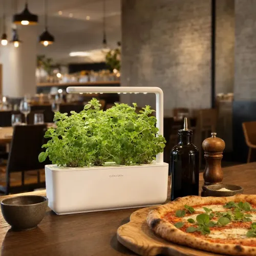 Click & Grow Smart Garden oregano-refill som växer i en vit örtkruka för inomhusbruk på ett bord av trä.