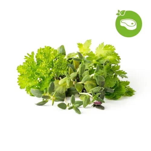 Click and Grow Smart Garden Refill 9-pack Grill & Steak Mix zeigt Kräuterbündel aus Thymian, Petersilie und Koriander mit grünem Fleischsymbol