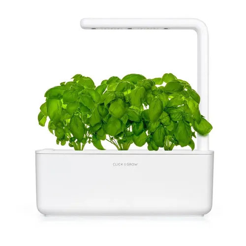 Vit Click and Grow Smart Garden 3 med rektangulär behållare och L‑formad LED‑lamparm ovanför tätt växande basilikaplantor.