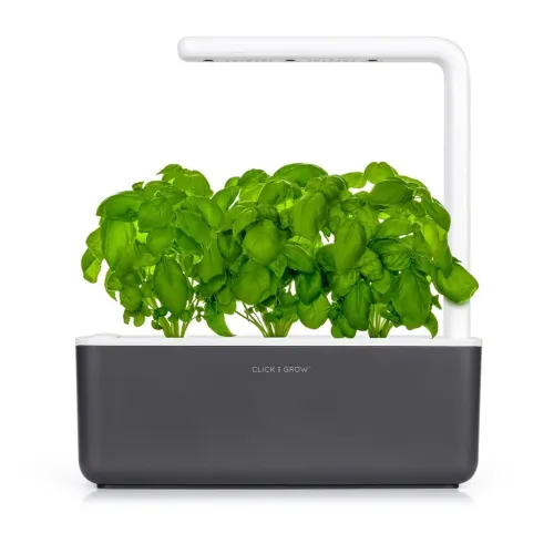 Click & Grow Indoor-Garten in Dunkelgrau mit weißem, L-förmigem LED-Arm darüber, gefüllt mit üppigem Basilikum in einem rechteckigen Behälter.