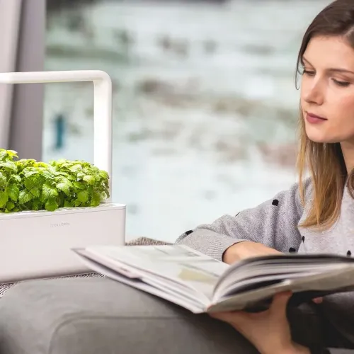 Click & Grow Smart Garden 3 mit rechteckigem LED-Lichtbogen und üppigen Kräutern steht auf dem Sofa neben einer Person, die ein Buch liest.