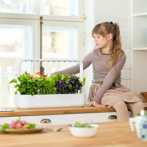 Smart Garden 9 inomhusträdgård i vitt med rektangulär behållare och bågformad LED-list med örter på köksbänk vid fönster.