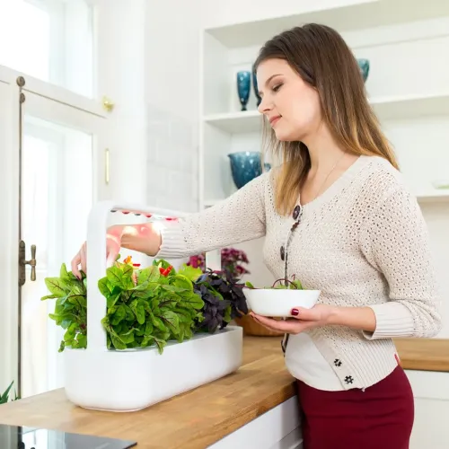 Smart Garden 9 i vitt med rektangulär behållare och bågformad LED-arm över frodiga plantor på köksbänk, en hand skördar blad.