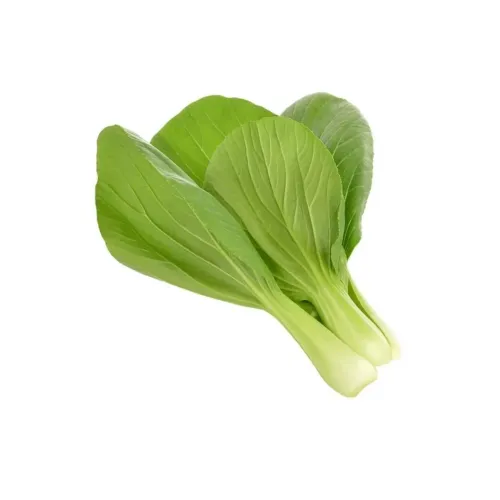 Pak choi is shown as three small heads with light-colored stems and broad green leaves, lying obliquely to the right on an all-white background.