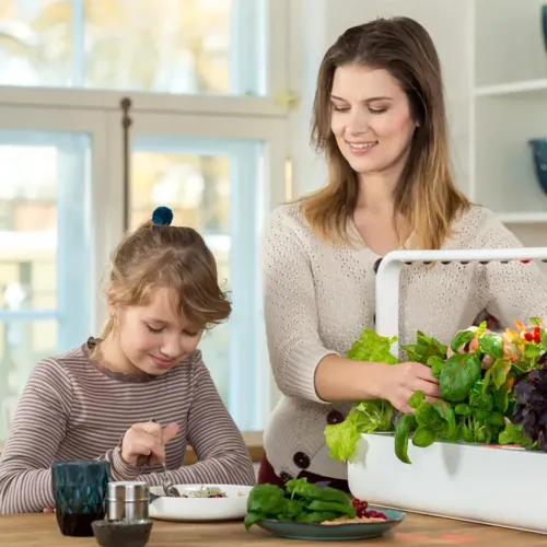Vit inomhusträdgård i rektangulär låda med integrerad bågformad ljusramp, full av gröna växter, placerad på ett köksbord.