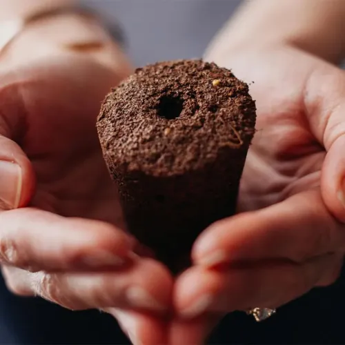 Växtkapsel för Click and Grow, cylindrisk jordplugg med centralt hål i toppen, hålls varsamt i två händer i närbild i fokus.