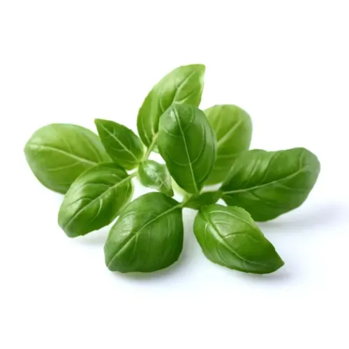 Click & Grow Smart Garden basil refill with fresh green basil leaves on a white background