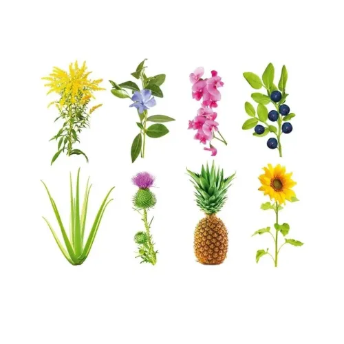 Click & Grow Smart Garden refill shows eight plant varieties, including flowers, berries, aloe and pineapple.