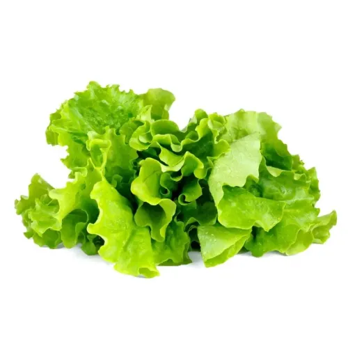 Click & Grow rohelised salatilehed värske kähara lehestikuga valgel taustal