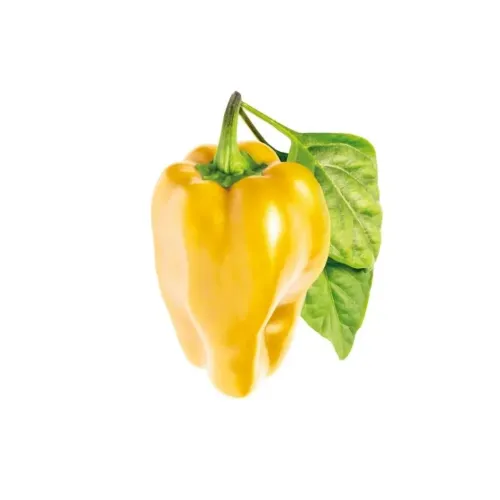 Click & Grow kollase magusa paprika täitekapsel Smart Gardenile, kujutatud kollase paprika ja roheliste lehtedega