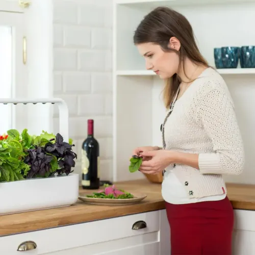 Click & Grow Smart Garden 9 Pro iekštelpu garšaugu dārzs uz virtuves letes ar augiem un novāktām lapām