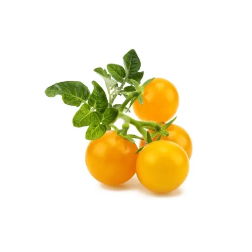 Click & Grow Yellow Mini Tomato Smart-Garden-Nachfüllpack mit gelben Kirschtomaten und grünen Blättern